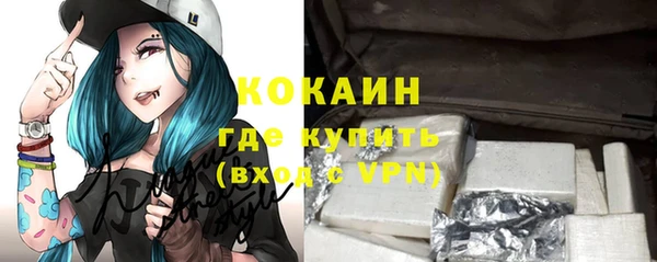 гашик Арсеньев