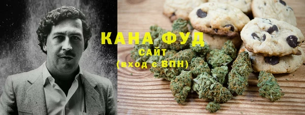 гашик Арсеньев
