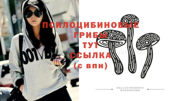 а пвп мука Армянск